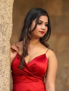 call girl service in Vaniyambadi